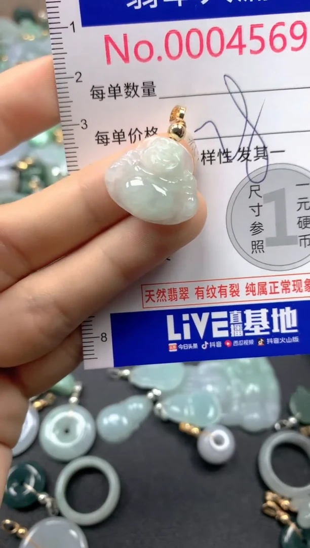 翡翠未镶嵌吊坠(不含链)4569