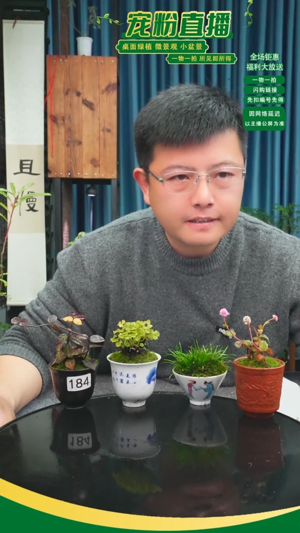 无花朵欣*苔藓微景观184号