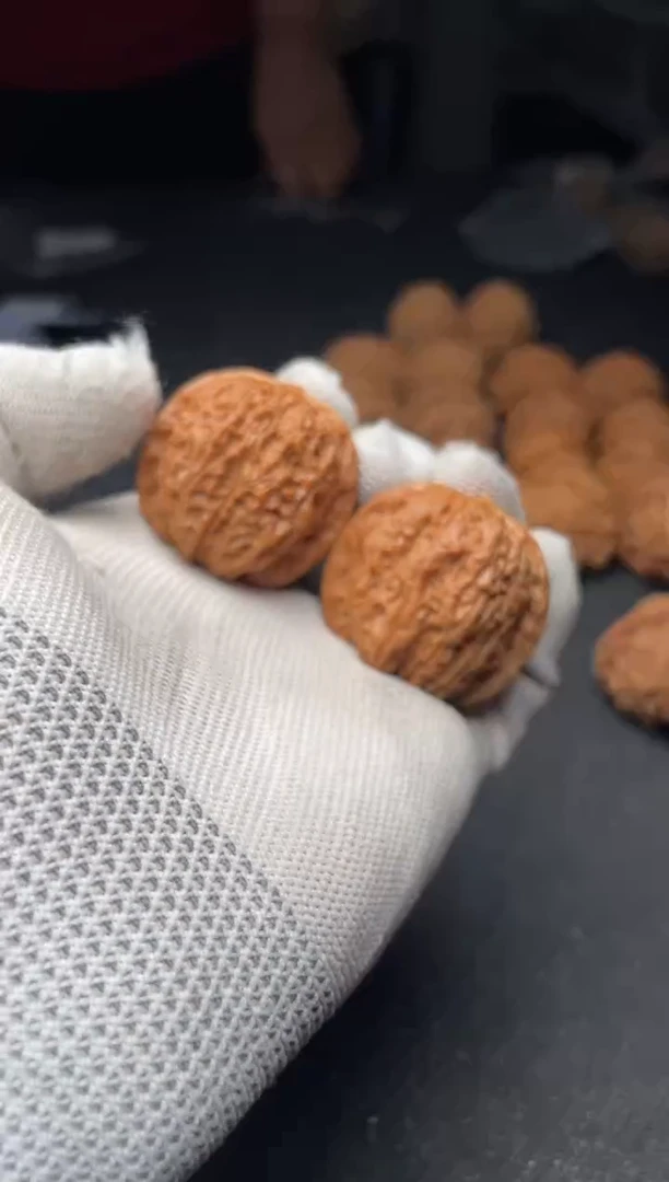 核桃a248   血麒麟   36尺
