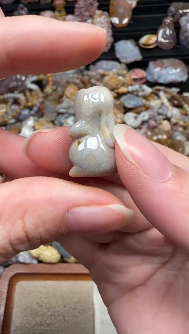 颈饰未镶嵌硅化珊瑚（珊瑚玉）610