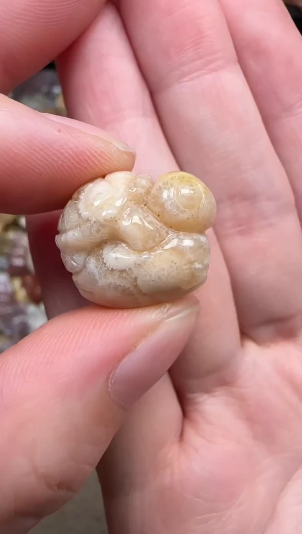 颈饰未镶嵌硅化珊瑚（珊瑚玉）514
