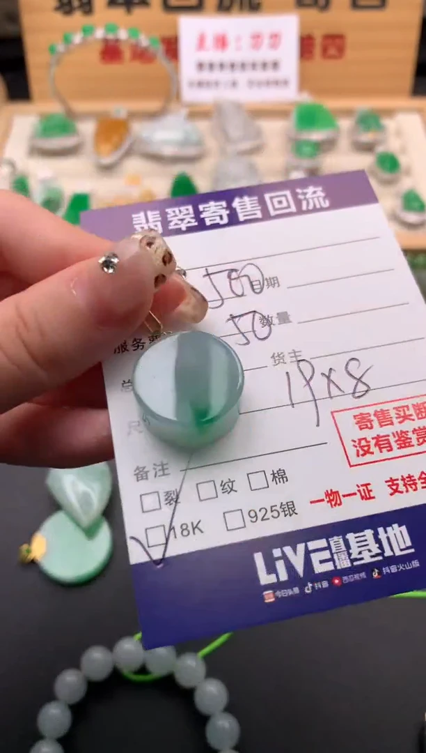 翡翠18K金镶嵌颈饰10131995