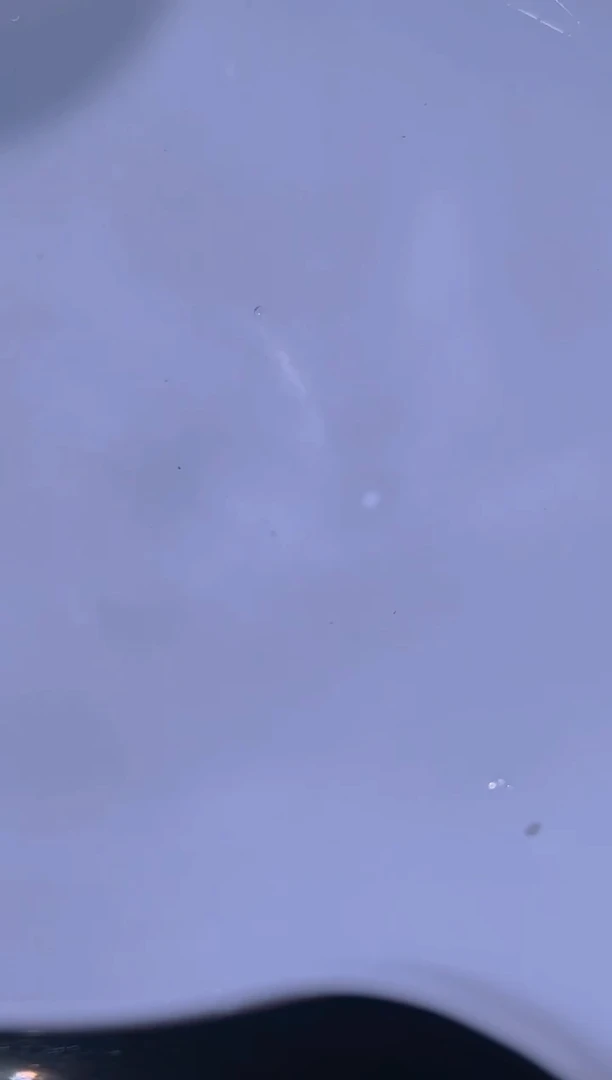 狮头鱼V*v兰寿金鱼兰寿金鱼