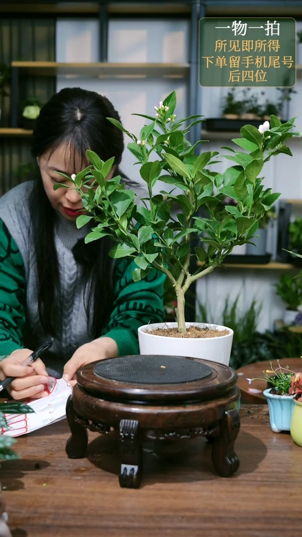 【闪购商品】普普111111
