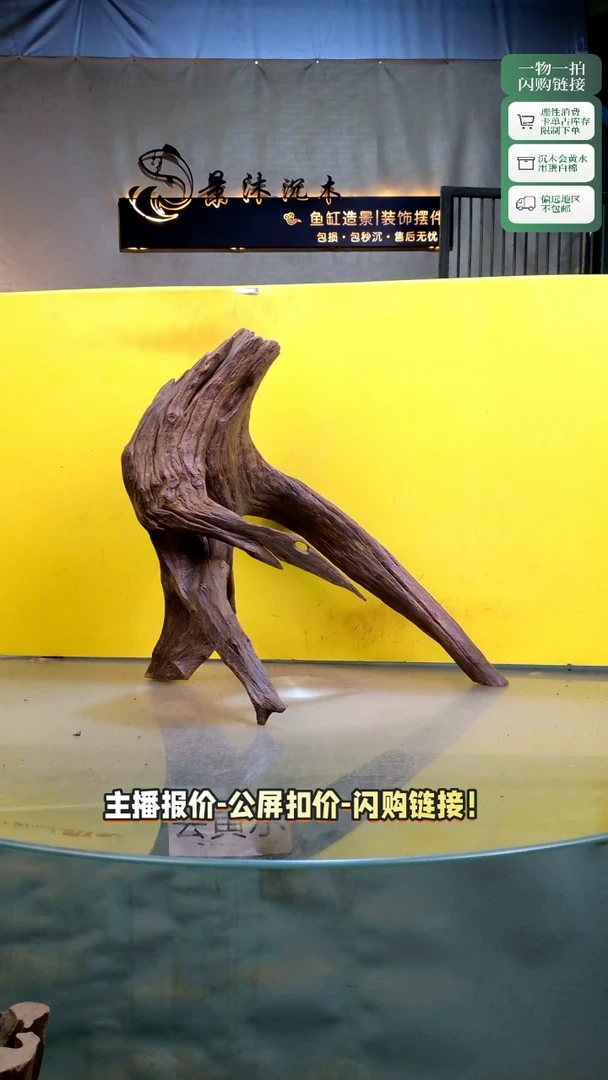 小*仔景沐沉木A670 43-30-43