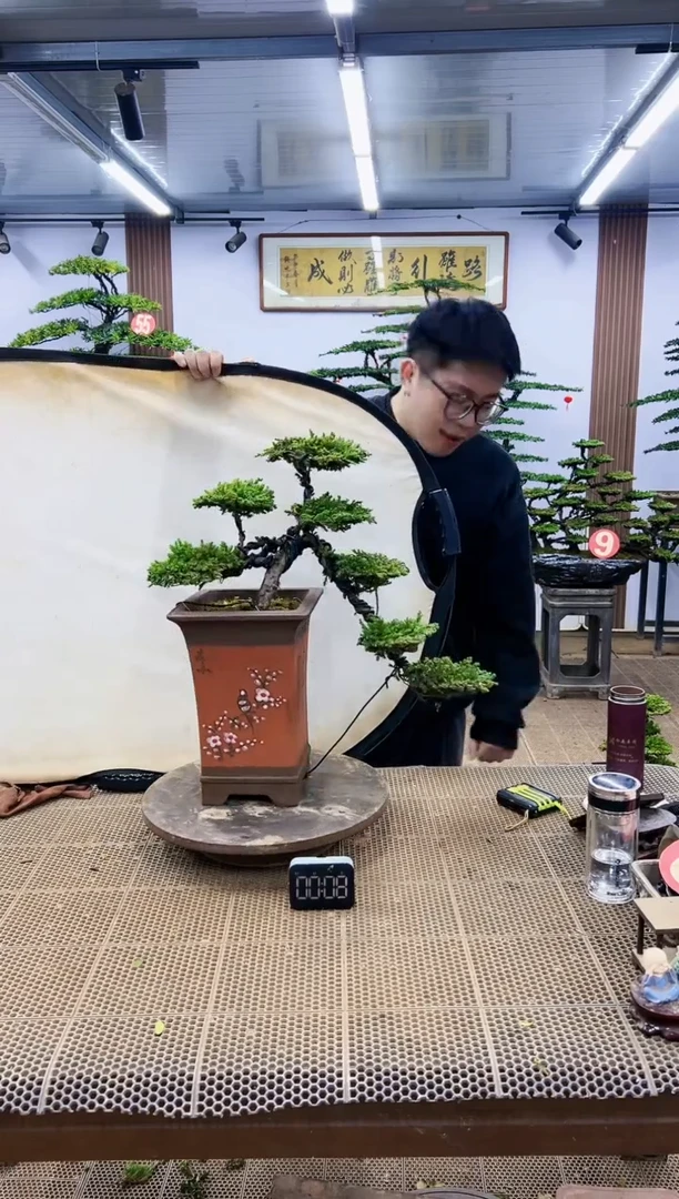 【闪购商品】一物一拍，所见即所得