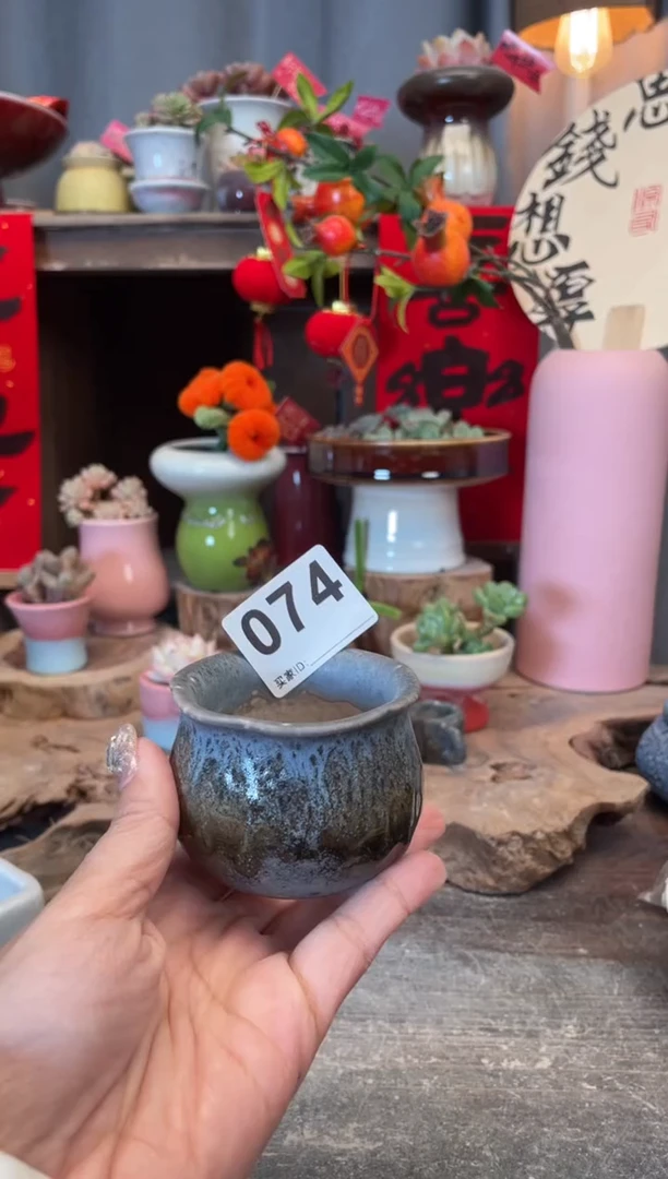 【闪购商品】摆件074知木小芳花盆