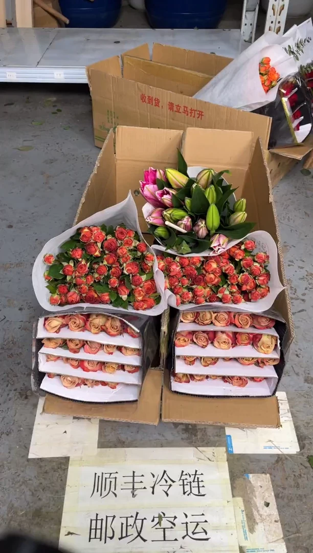 卡布20枝+巧克力10枝+双头红百合10枝