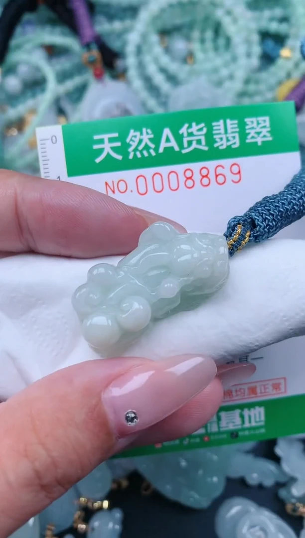 翡翠未镶嵌颈饰.0008869