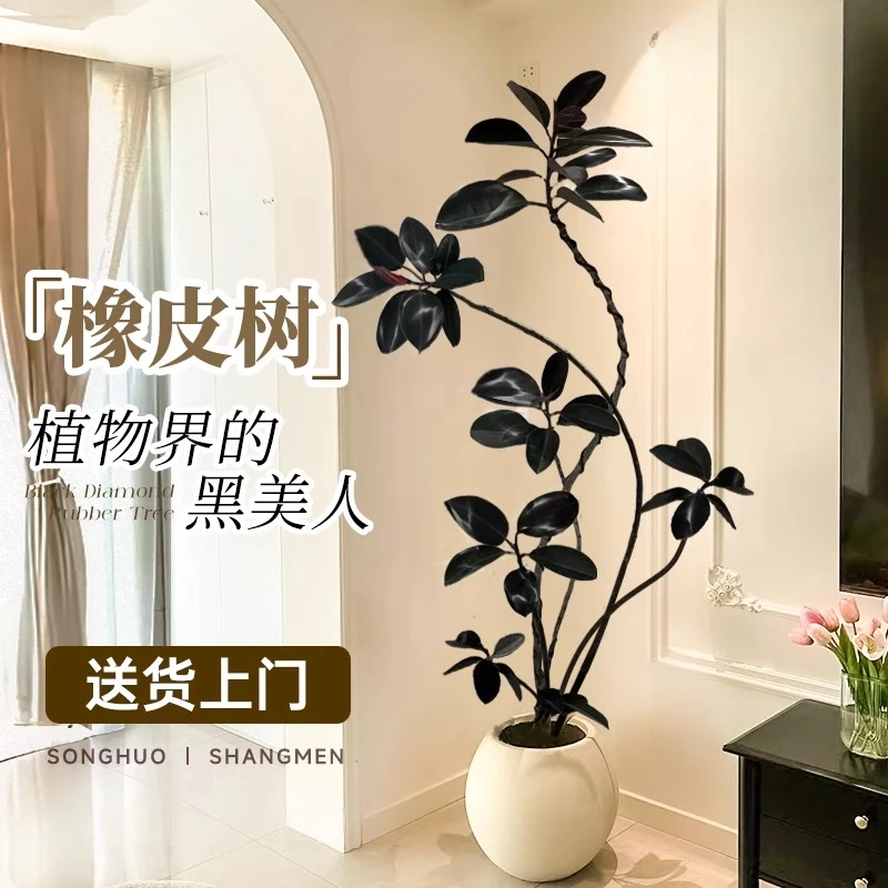 仿真绿植黑金刚橡皮树室内客厅大型盆栽高端植物轻奢摆件