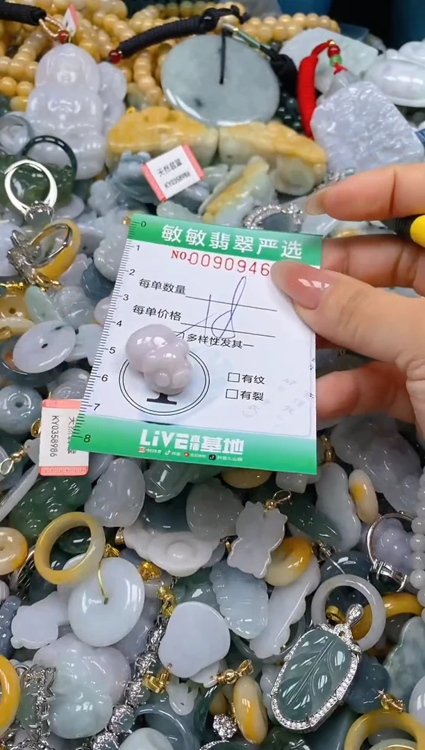 【闪购商品】翡翠颈饰未镶嵌闪购0090946多样性发其一