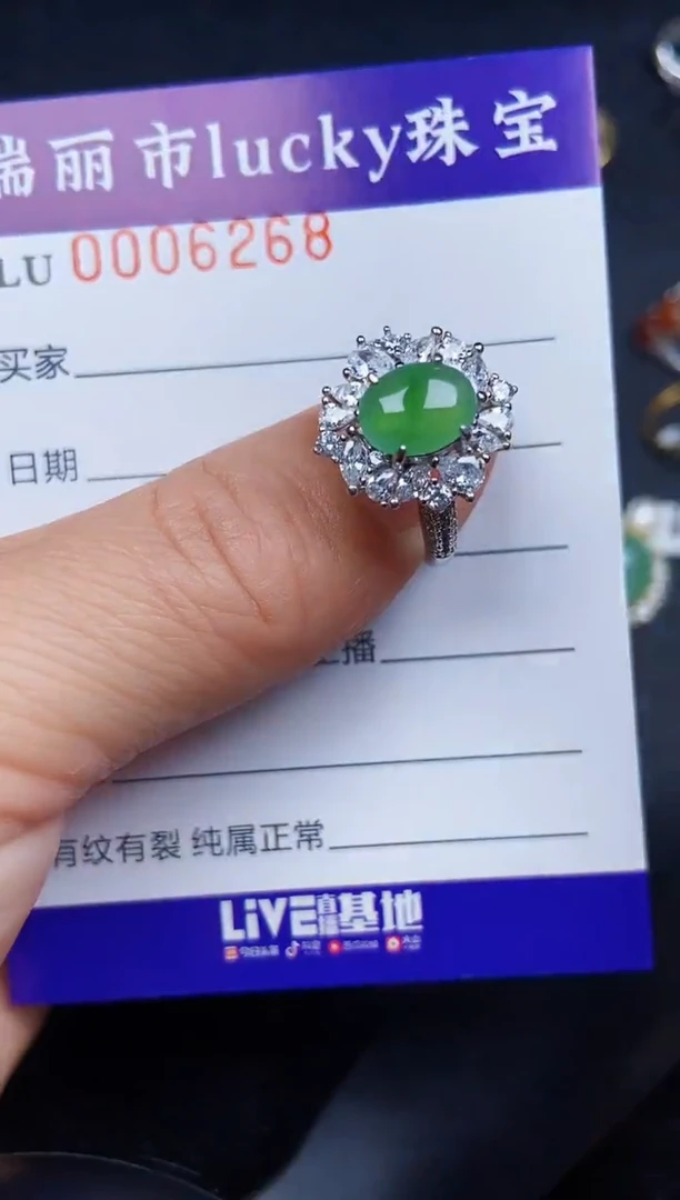 翡翠银S925镶嵌颈饰6268