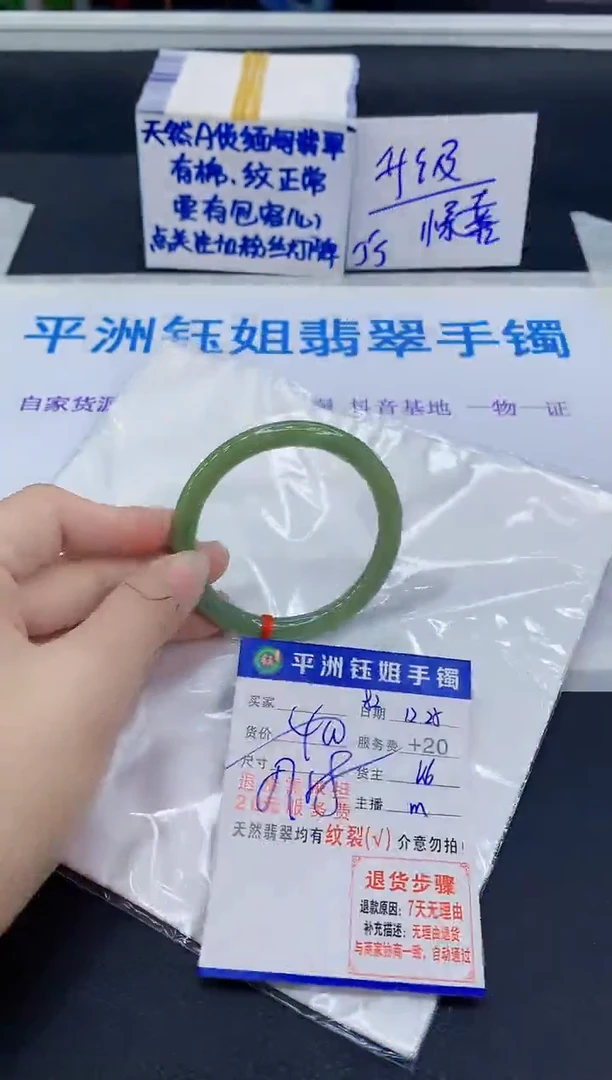 未镶嵌手镯翡翠11111