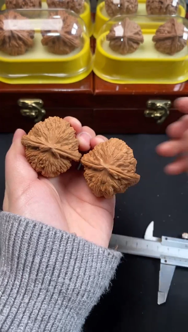 把件文玩核桃白狮子41尺R049