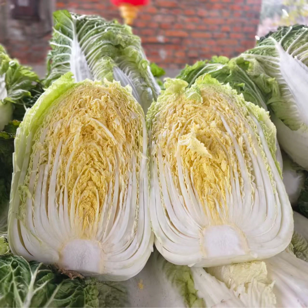 东北自家种植霜打黄心大白菜