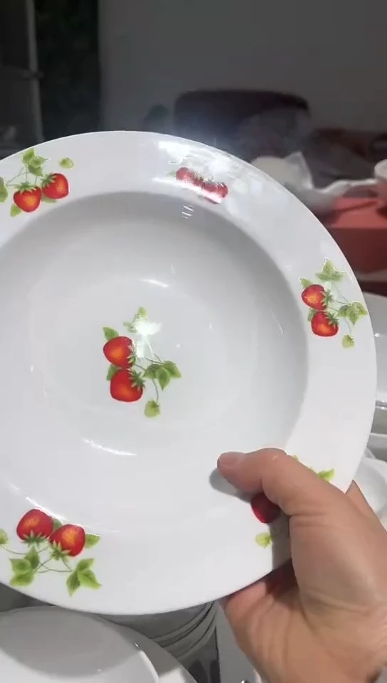 骨瓷9汤2个隆达骨瓷