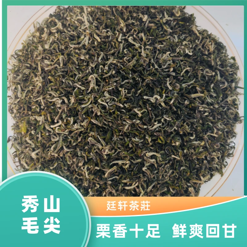 秀山春尖茶叶浓香耐泡口粮茶