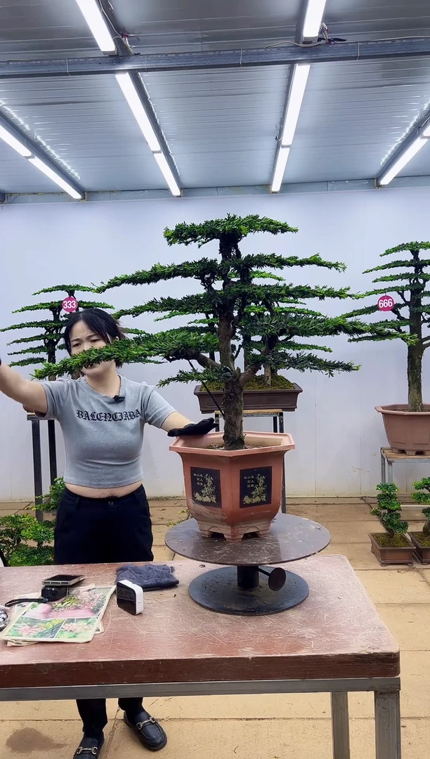 无花朵一物一拍，所见即所得