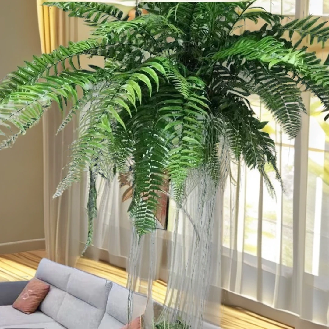 霸王蕨大型摆件绿植植物办公室客厅室内植物摆件绿植盆栽室内
