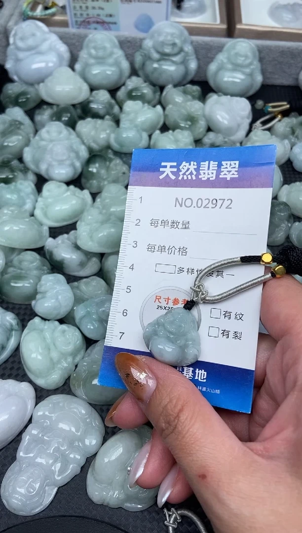 颈饰未镶嵌翡翠纯天然A货翡翠2972