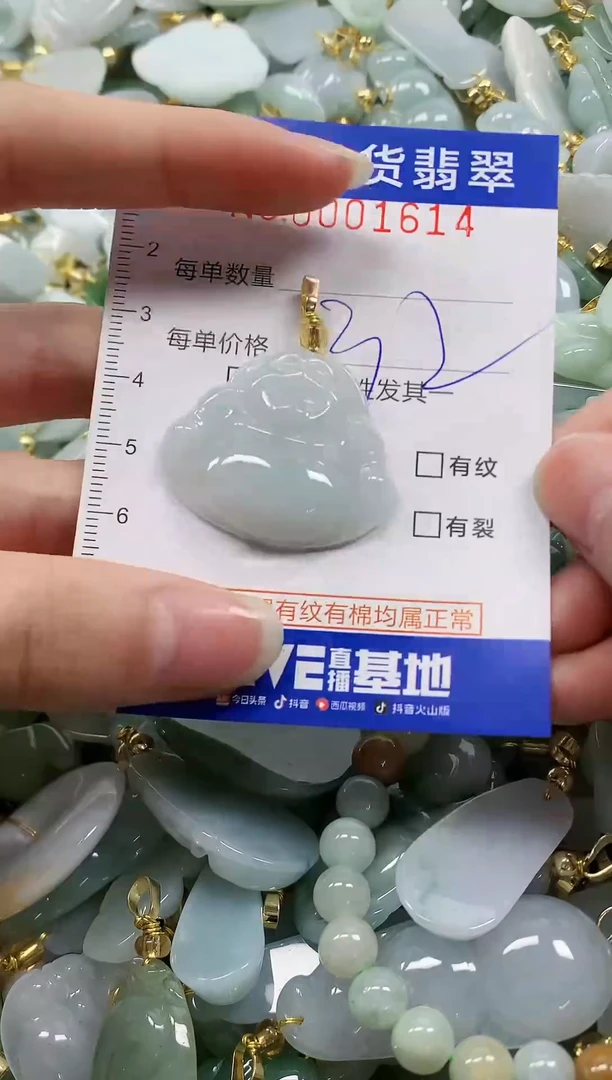 颈饰未镶嵌翡翠纯天然a货翡翠