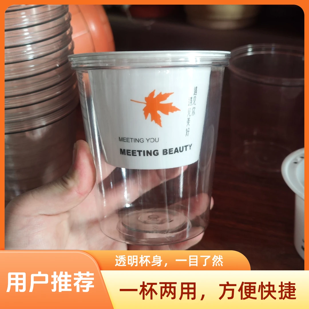枫叶透明塑料懒人吸水盆水培小盆栽花盆绿植花卉多肉桌面小花盆