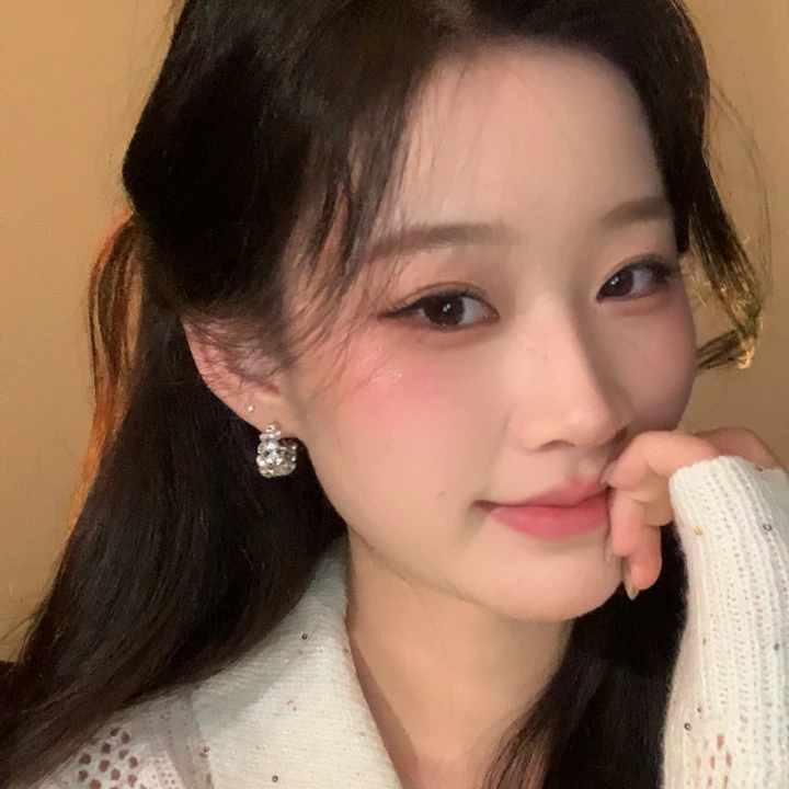 合金合成锆石耳饰 百搭耳钉日韩少女风轻奢银色几何图案气质精致