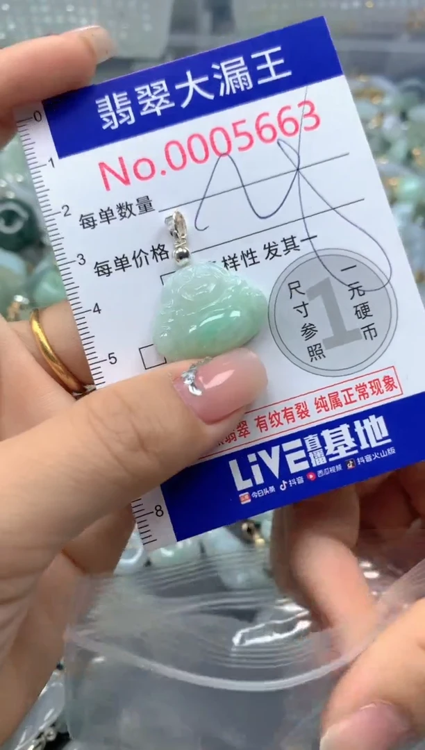 颈饰未镶嵌翡翠5663