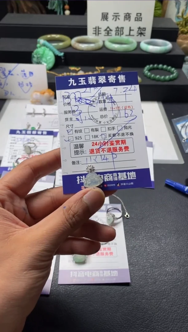 翡翠银S925镶嵌颈饰L****w买断