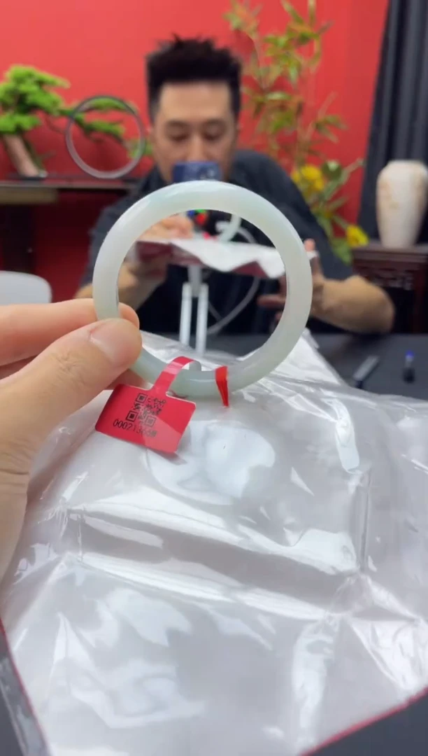 未镶嵌手镯翡翠9