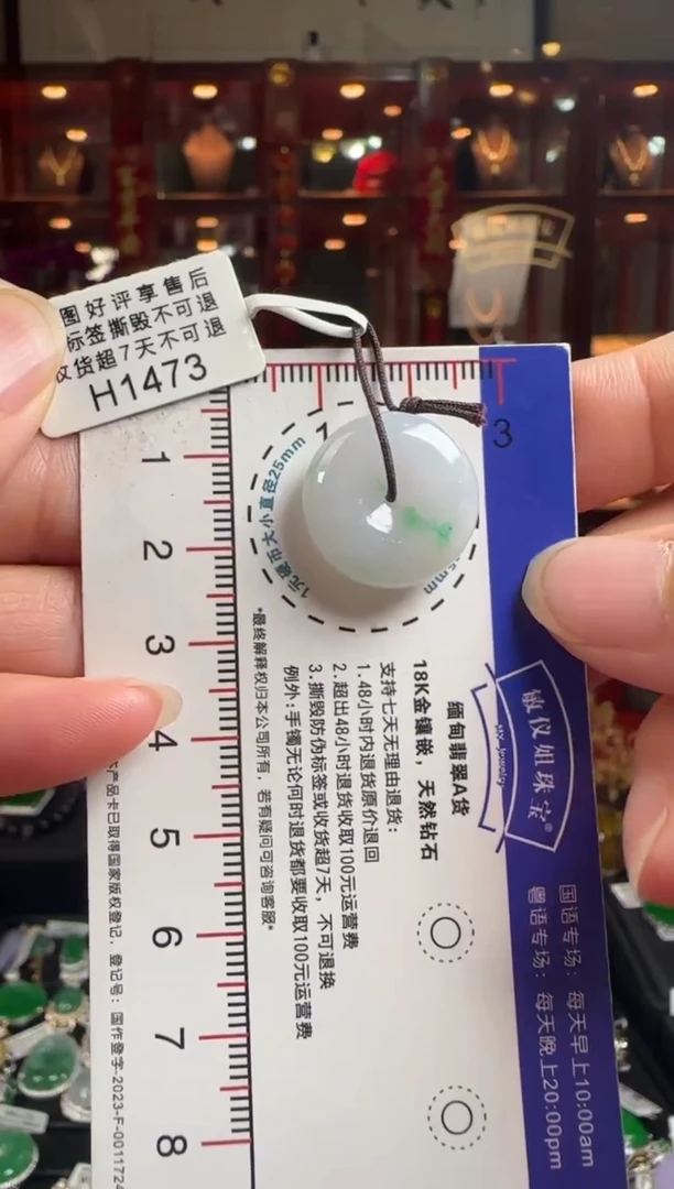 【闪购商品】翡翠颈饰未镶嵌H1473平安扣