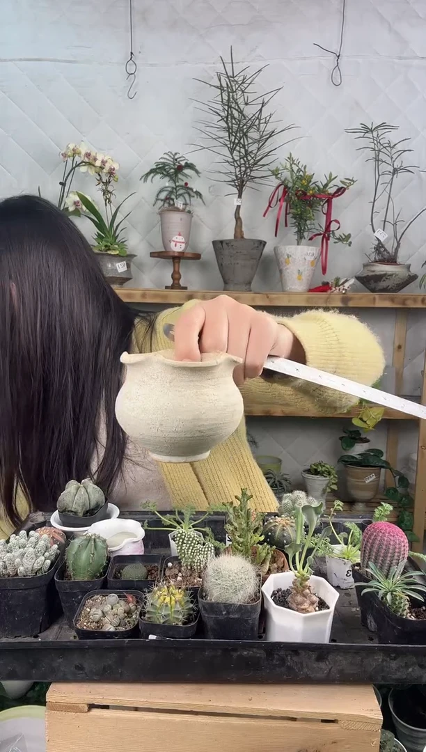 无花朵编号 818  景德镇手工花盆