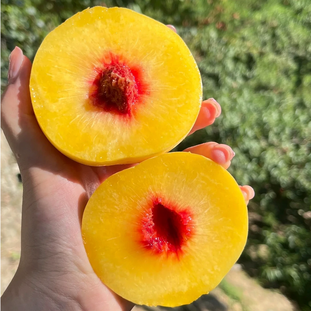 炎陵黄桃B级果湖南果园原产地现摘现发应季新鲜水果5斤装锦绣黄桃