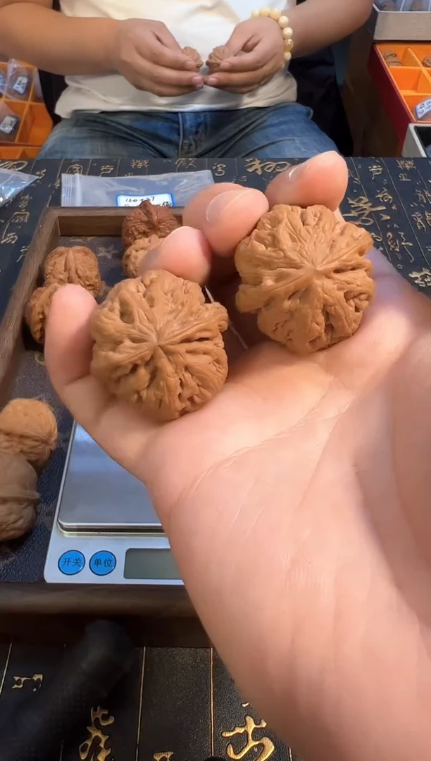 把件核桃35尺全品小粗筋