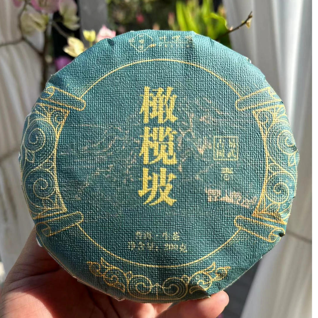 2024易武橄榄坡古树生普（200克）饼