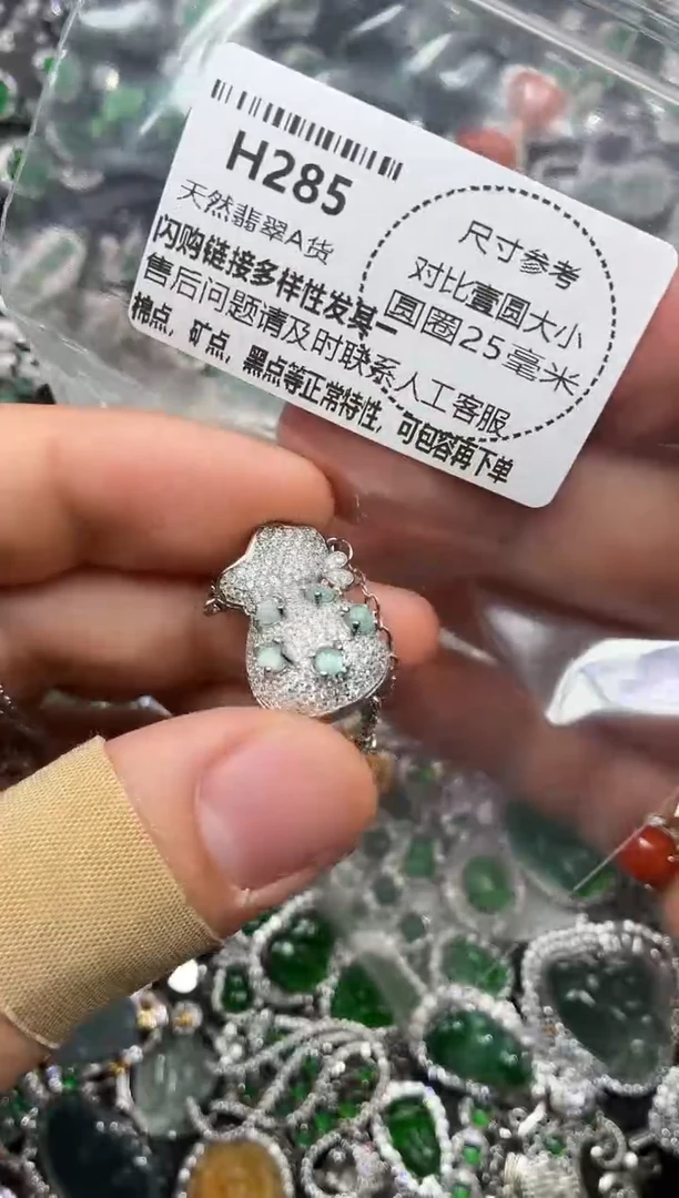 颈饰未镶嵌翡翠H285项链