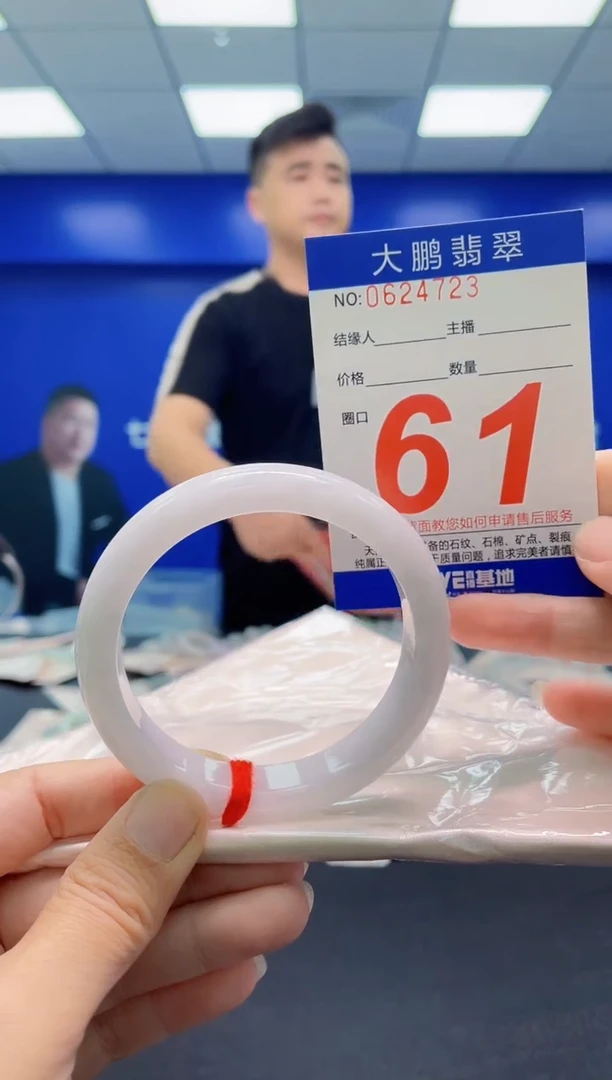 未镶嵌手镯翡翠AAAAAAAAA
