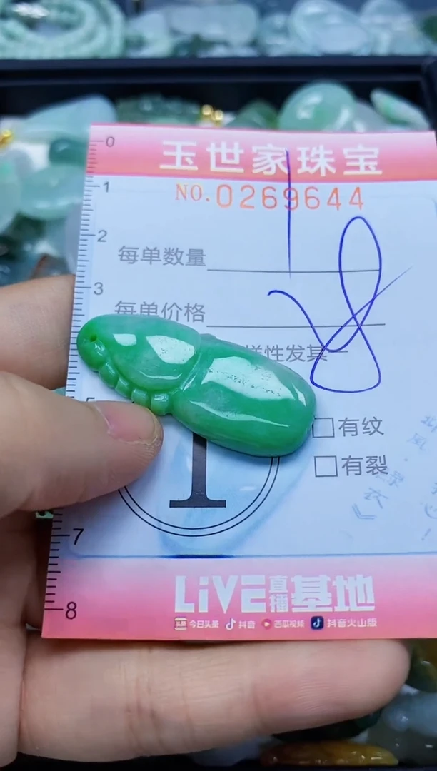 翡翠未镶嵌颈饰闪购0269644