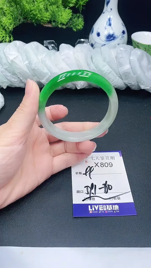 未镶嵌手镯翡翠809