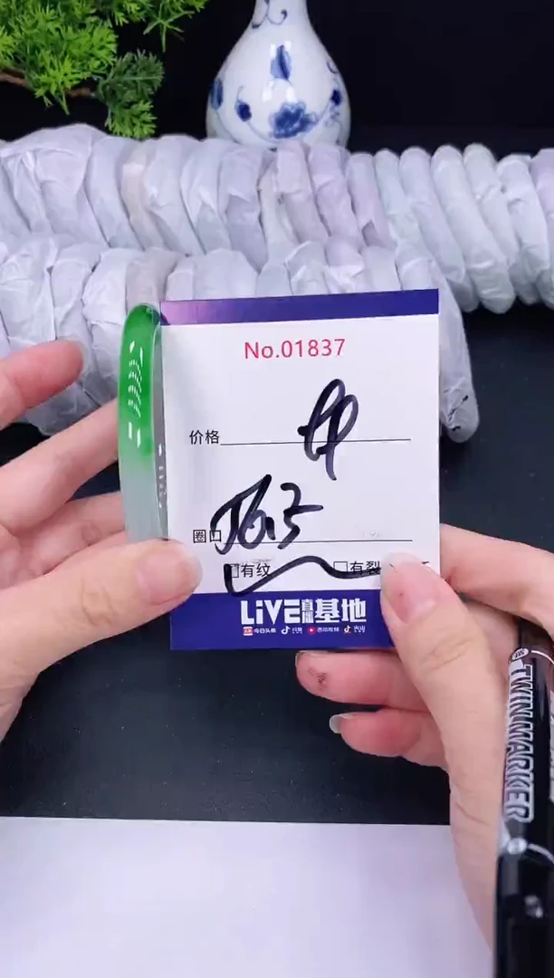 未镶嵌手镯翡翠1837