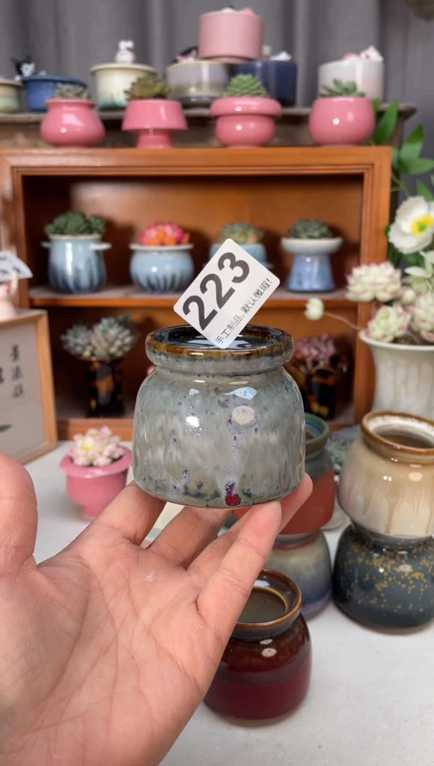 瓷片洪*223小芳花盆直播编号