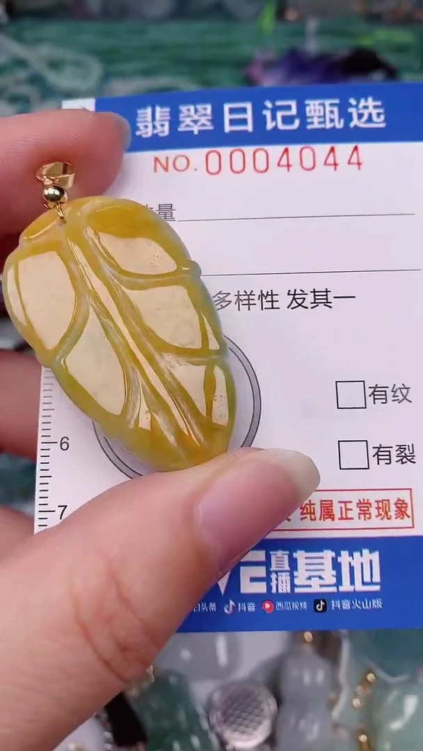 翡翠未镶嵌颈饰00004044