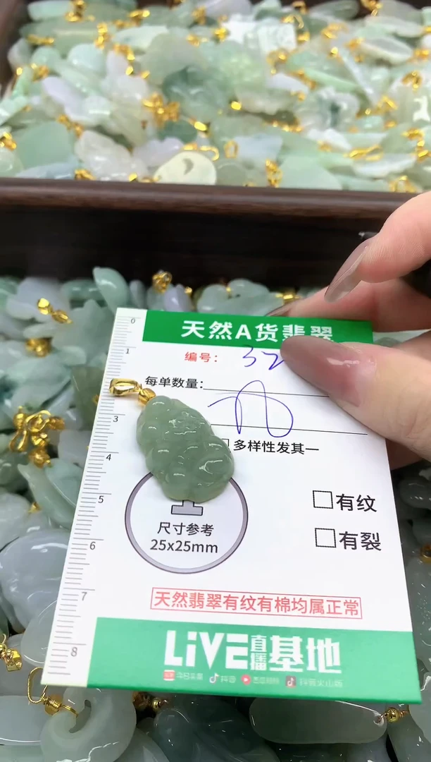 颈饰未镶嵌翡翠纯天然缅甸A货翡翠-32