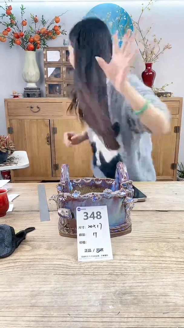 【闪购商品】红陶348