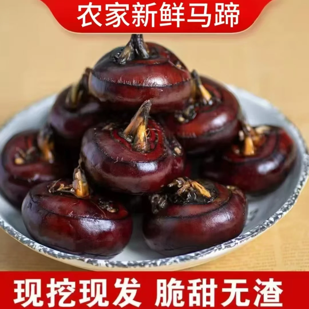 正宗广西荔浦马蹄自家种植