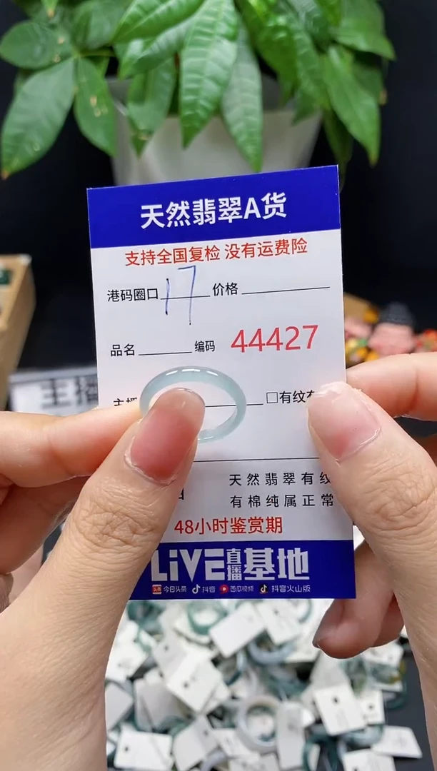 翡翠戒指未镶嵌 天然翡翠戒圈4427