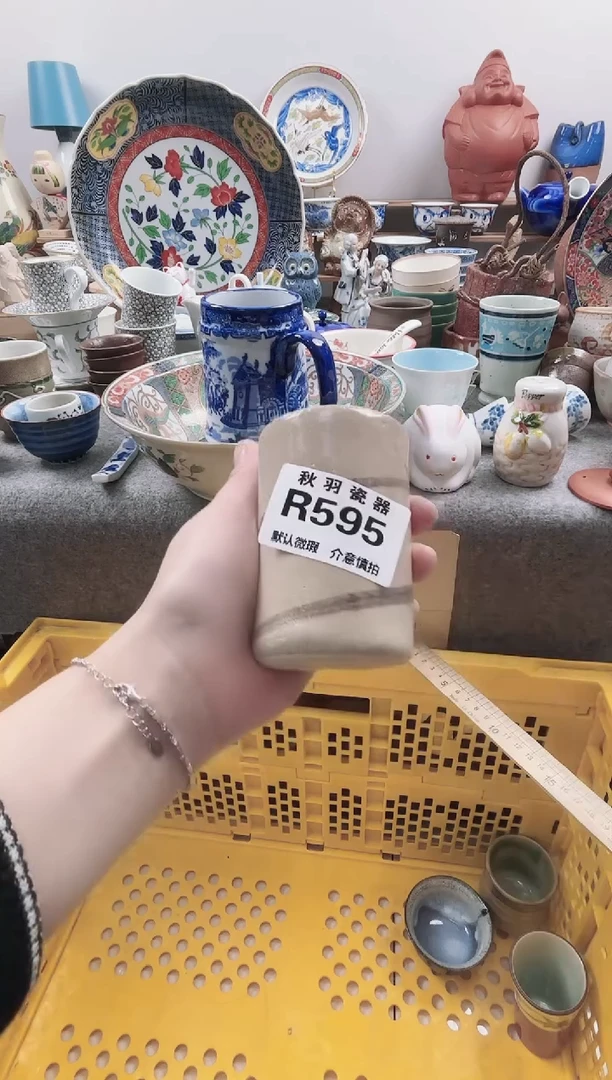日式杭*默认微瑕秋羽R595