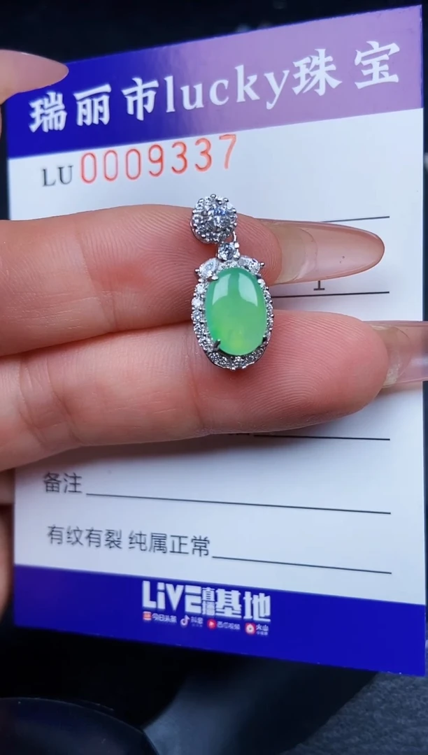 翡翠银S925镶嵌颈饰9337
