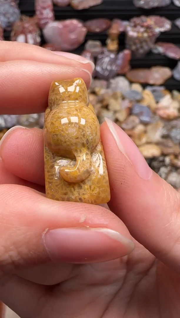 【闪购商品】硅化珊瑚（珊瑚玉）颈饰未镶嵌496