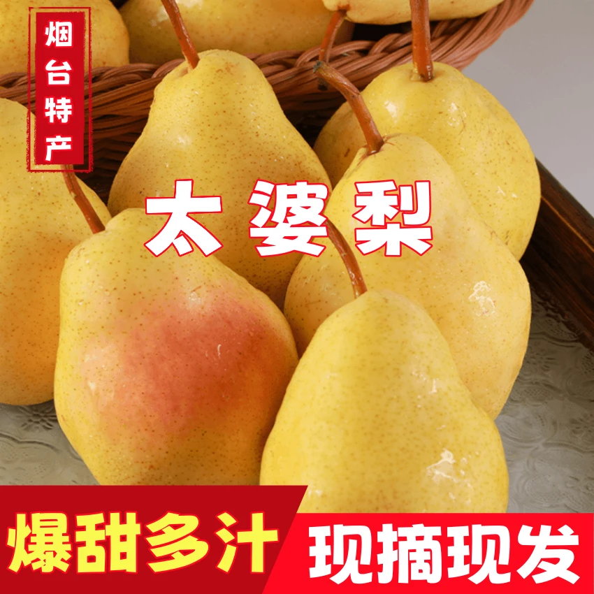 【软吃】现摘山东烟台太婆梨水果香甜多汁茄梨大头香蕉梨应季新鲜z